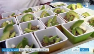 Vienne : certaines cantines scolaires tendent vers des repas de plus en plus locaux