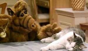 Alf - extrait de la série - Alf hypnotise le chat: tu n'es plus un chat, tu es une madeleine!