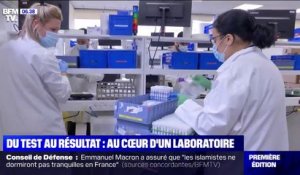 Coronavirus: du test au résultat, comment les laboratoires travaillent-ils?