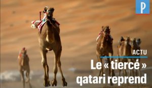 Coronavirus : Les courses de chameaux reprennent au Qatar