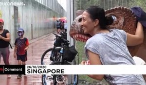 Une piste cyclable remplie de dinosaures à Singapour
