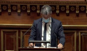 Néonicotinoïdes : Guillaume Gontard dénonce "une dérogation scélérate"