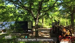 Les chênes des forêts françaises s'exportent en Chine... au détriment des scieries locales