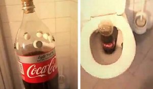Quand tu mets une bouteille de Coca-Cola + Mentos dans les toilettes