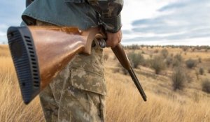 Confinement : des dérogations vont être accordées aux chasseurs, autorisés à réguler les « populations de grand gibier »