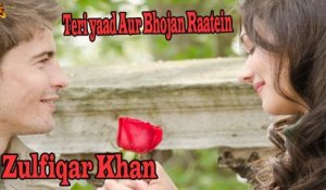 Teri yaad Aur Bhojan Raatein | Zulfiqar Khan | Mah Noor Kahnzada | Ghazal