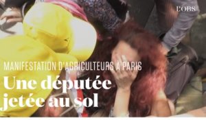 Deux parlementaires bousculés par la police lors d'une manifestation d'agriculteurs à Paris