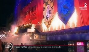 Cinéma : il y a 19 ans, Harry Potter prenait vie pour la première fois à l'écran