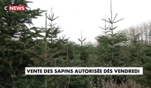 Confinement : la vente des sapins autorisée dès vendredi