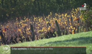 Vin : le Beaujolais également victime du Covid-19