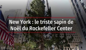 New York : le triste sapin de Noël du Rockefeller Center