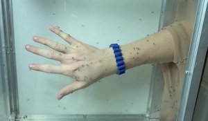 Les bracelets anti-moustiques sont-ils efficaces ?