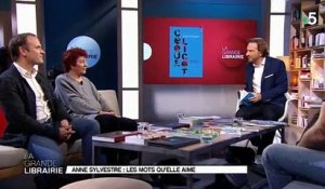 Interview de la chanteuse Anne Sylvestre dans « La Grande Librairie » sur France 5