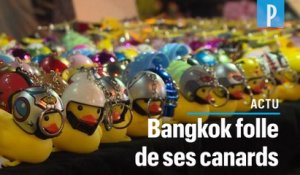 Thaïlande : le canard en plastique, de symbole pacifiste à best-seller