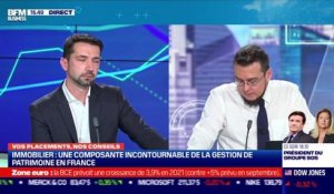 Mathieu Berthaud (MonPartenairePatrimoine.com) : L'immobilier, une composante incontournable de la gestion patrimoine en France - 10/12