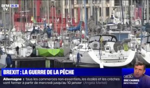 Brexit: pourquoi la pêche pose-t-elle problème dans les négociations ?