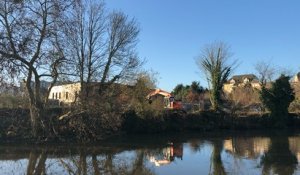 Arbres abattus le long de la Vilaine : une étape « nécessaire » pour la Région