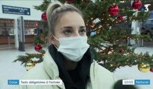 Coronavirus : des tests obligatoires à l'arrivée en Corse