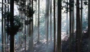 Un énorme xylophone dans les bois de Kyushu japon joue un air de Bach quand une boule de bois roule sur chaque touche