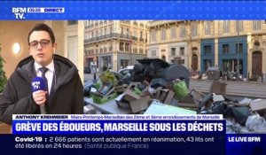 Grève des éboueurs à Marseille: le maire des 2e et 3e arrondissements évoque "un sentiment d'abandon"