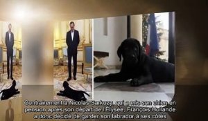 Julie Gayet et François Hollande fous de leur chien Philae - « C’est un peu leur enfant »