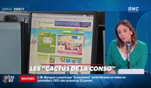 Dupin Quotidien : Les "cactus de la conso" - 04/01