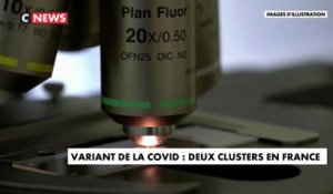Coronavirus : 2 clusters du nouveau variant en France
