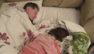 Une famille se relaie chaque nuit pour dormir avec leur chien handicapé qui ne peut plus se déplacer comme avant