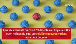 Coronavirus : un nouveau variant détecté au Japon