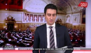 Crise sanitaire en Outre-mer : audition de Sébastien Lecornu - Les matins du Sénat (14/01/2021)