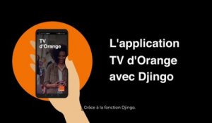 Comment piloter l'application TV d'Orange à la voix avec Djingo ?