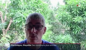 Variant du Covid-19 : la Martinique et Mayotte durcissent leurs conditions d'entrée