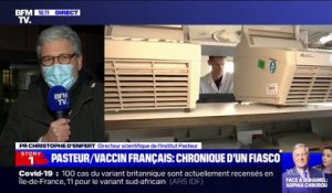 "C'est une déception": le directeur scientifique de l'Institut Pasteur revient sur l'abandon du projet principal de vaccin anti-Covid