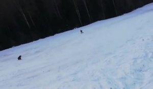 Un skieur se fait pourchasser par un ours