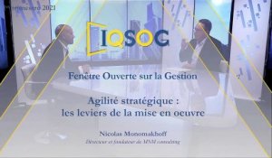 Agilité stratégique : les leviers de la mise en oeuvre [Nicolas Monomakhoff]