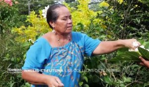Wallis et Futuna - Les colliers de fleurs