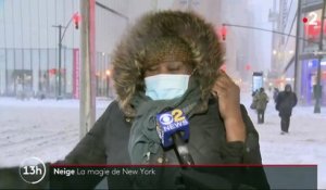 États-Unis : les New Yorkais profitent de la neige pour se détendre