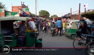 Covid-19 : les habitants de New Delhi ont-ils développé une immunité collective ?