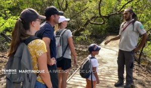 Martinique, La Presque île de la Caravelle