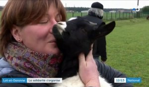 Inondations dans le Lot-et-Garonne : la mobilisation permet de sauver des chèvres