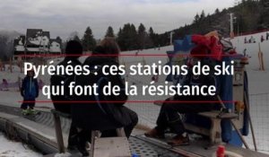 Pyrénées : ces stations de ski qui font de la résistance