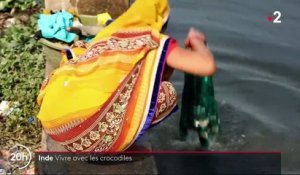 Inde : dans un village de l'ouest, les habitants cohabitent avec les crocodiles