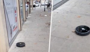 Espagne : un aspirateur-robot s'est échappé d'un magasin et a aspiré les rues de sa ville