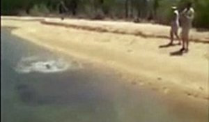 Un crocodile vient voler le requin attrapé par ces pêcheurs
