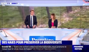 Des haies pour préserver la biodiversité - 15/02