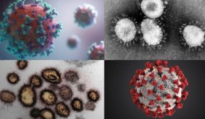 À quoi ressemble vraiment le coronavirus ?