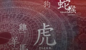 Comment interpréter son signe astrologique chinois ?