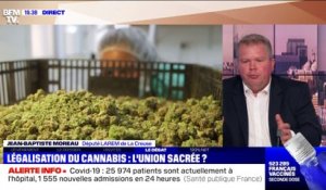 Faut-il légaliser ou pas le cannabis ? - 17/02