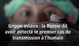 Grippe aviaire : la Russie dit avoir détecté le premier cas de transmission à l’humain