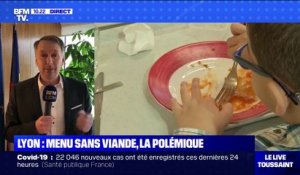Polémique du menu sans viande: "Ce gouvernement a un problème avec l'écologie", selon le président EELV de la Métropole de Lyon